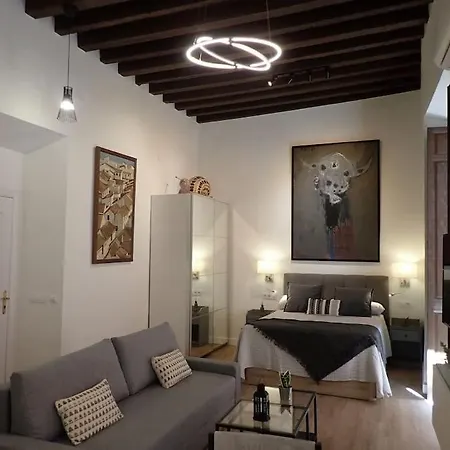 Apartment The Loft Chinitas
