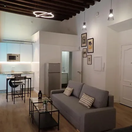 The Loft Chinitas Apartment Malaga